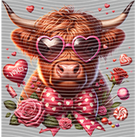 Valentine's Day-QRJ  5285